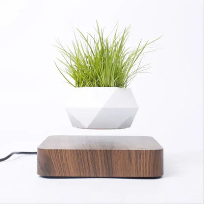 ZNhr0SlIyTeixRe.webp
